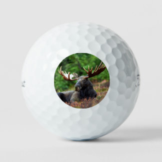Balles De Golf Oie