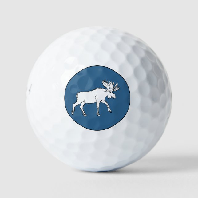 Balles De Golf Oie blanche (Devant)