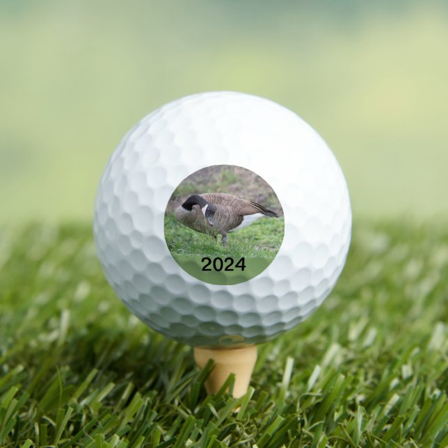 Balles De Golf Oie Canadienne Au Texas (T-shirt Insitu)