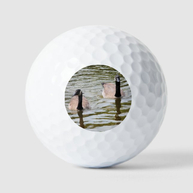 Balles De Golf Oies  (Recto)