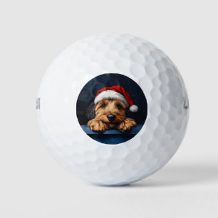 Balles De Golf Otterhound Dans Un Chapeau De Père Noël
