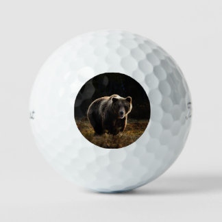 Balles De Golf Ours
