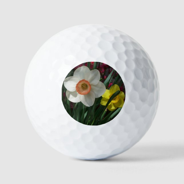 Balles De Golf Pair of Daffodils Pink and Yellow Spring Flowers (Recto)