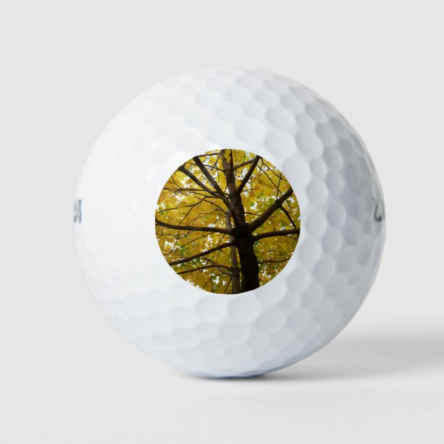 Balles De Golf Paire d'érables jaunes Nature d'automne (Devant)