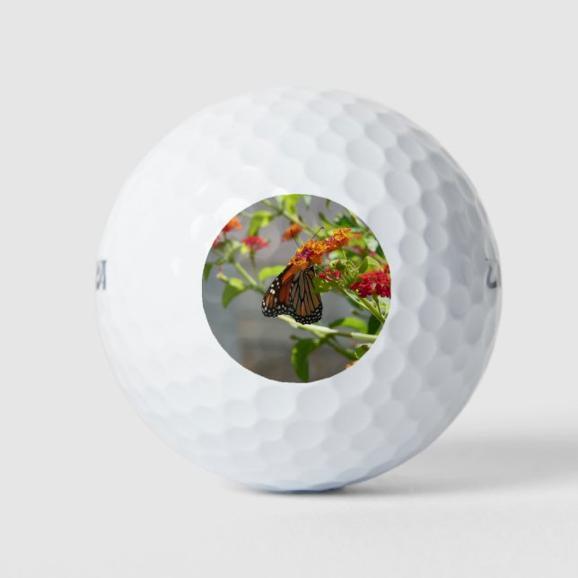 Balles De Golf Papillon monarque sur le papillon rouge Bush (Devant)