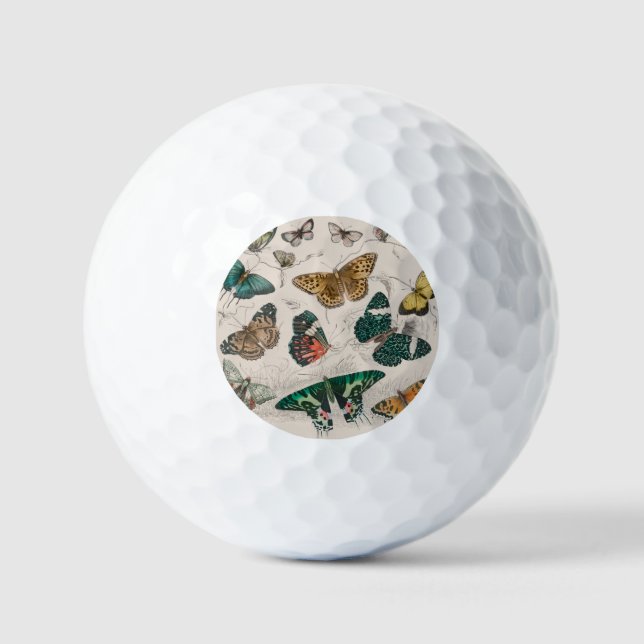 Balles De Golf Papillons Collection Antique Papillons (Recto)