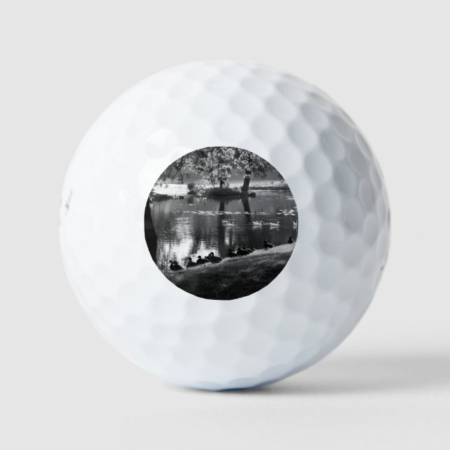 Balles De Golf Park Life be6 gbcnm (Devant)