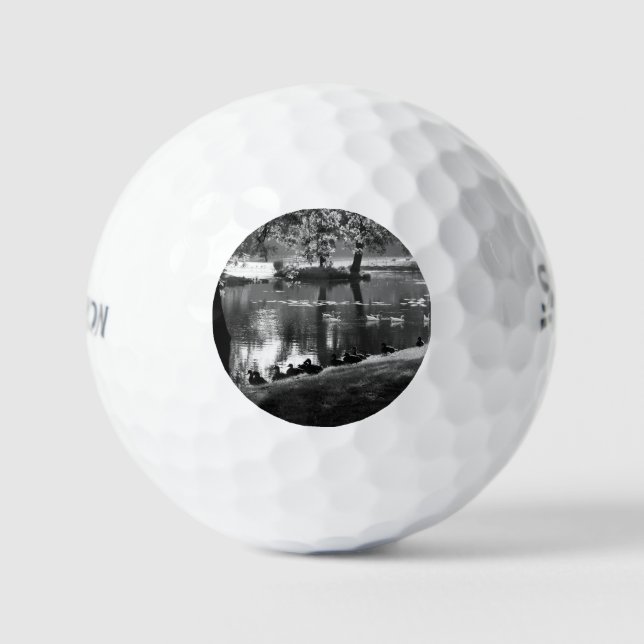 Balles De Golf Park Life ssf gbcnm (Recto)