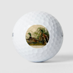 Balles De Golf Peinture d'oiseaux de Mallard Duck Audubon