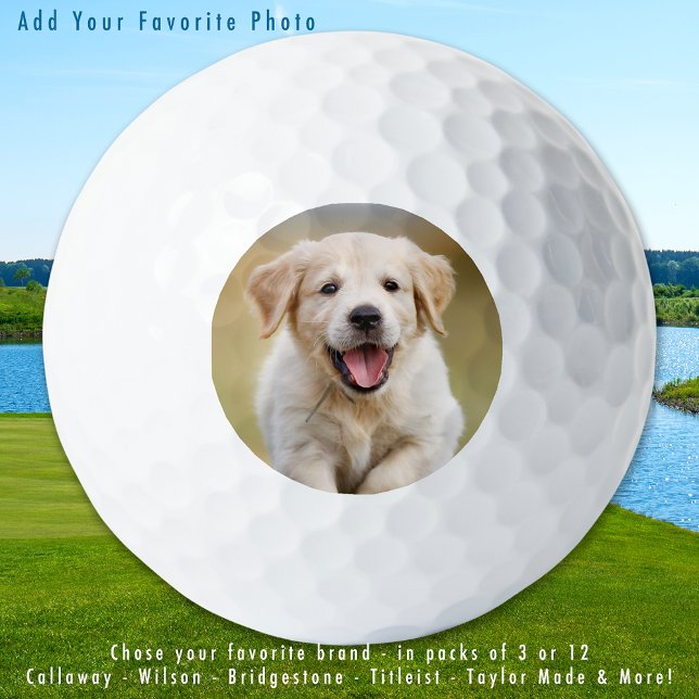 Balles De Golf Personnalisé Chien Chien Photo Animaux de compagni (Créateur téléchargé)