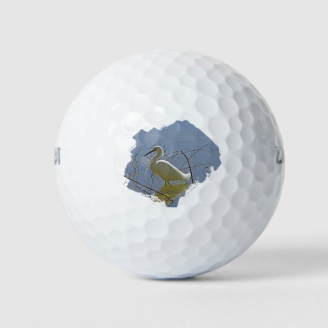 Balles De Golf Photo Aiguille Blanche Elégant Oiseau Calme Eau Na (Devant)
