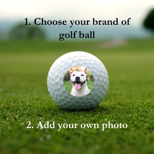Balles De Golf Photo Animaux de compagnie Custom Modèle Balls de  (Créateur téléchargé)