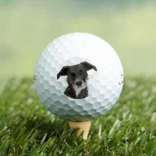 Balles De Golf Photo Chien Personnalisé Moderne Boule de Golf Per