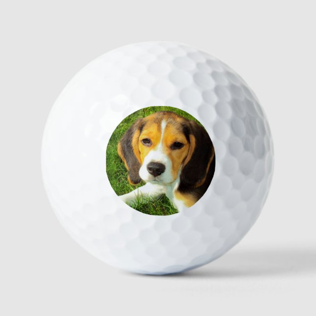 Balles De Golf Photo de chien Beagle pour animal de compagnie per (Recto)