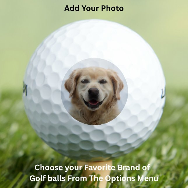 Balles De Golf Photo de chien personnalisée Meilleur papa (Custom Dog Photo Best Dad Golf Balls)