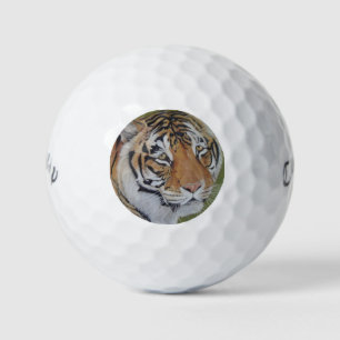 Balles De Golf photo de la faune du gros tigre de chat