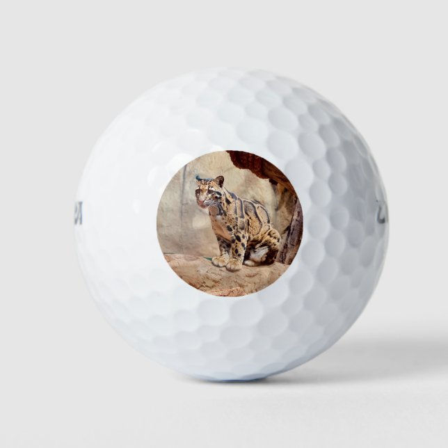 Balles De Golf photo de léopard nuageux nature faune exotique (Devant)