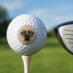 Balles De Golf Photo personnalisé de chien de compagnie Grand Dan