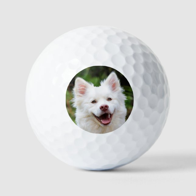 Balles De Golf Photo personnalisée pour animal de compagnie (Recto)