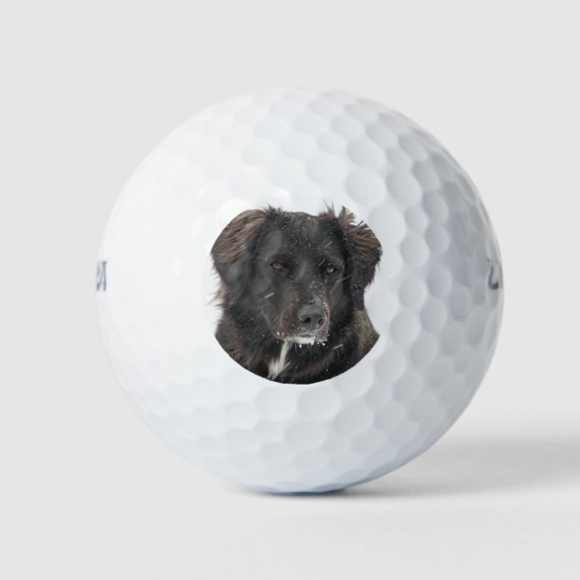 Balles De Golf Photo personnalisée pour animaux (Devant)