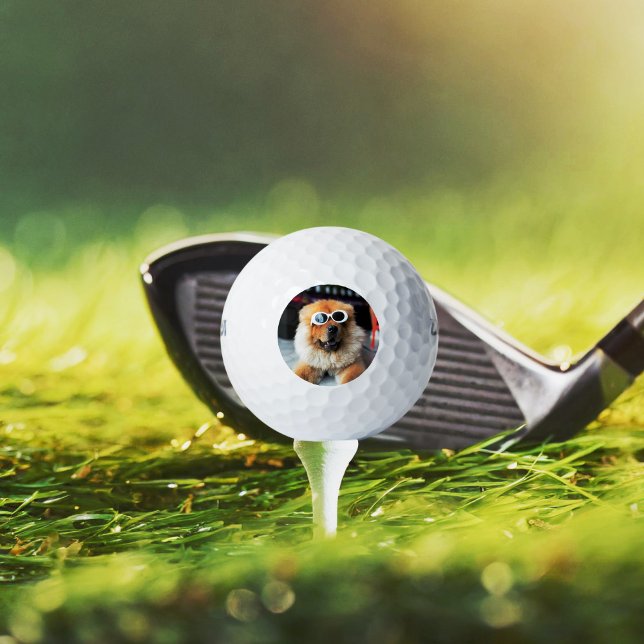 Balles De Golf Photo personnalisée pour chien de compagnie (Créateur téléchargé)