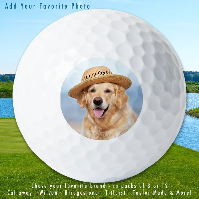 Balles De Golf Photo personnalisée pour chien de compagnie simple (Créateur téléchargé)