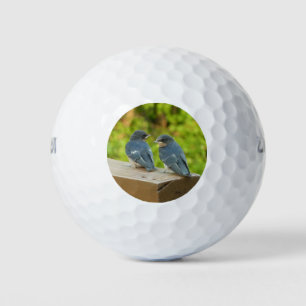 Balles De Golf Photographie de bébé hirondelles de cheminée dans