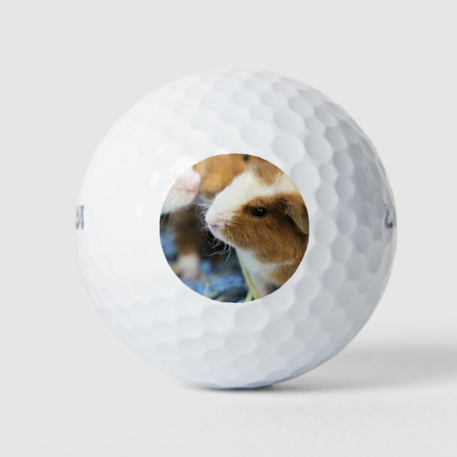 Balles De Golf Piggy (Devant)