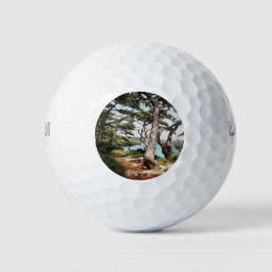 Balles De Golf Pinus pinea Pinetree Forest Painting