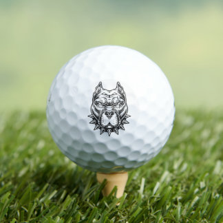 Balles De Golf Pitbull Bridgestone e6