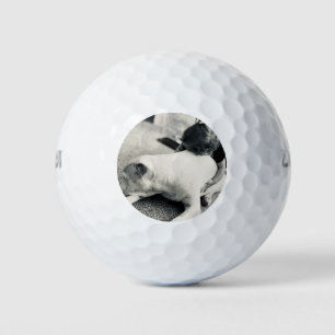 Balles De Golf Pitbull chiot endormi et câlins de bébé