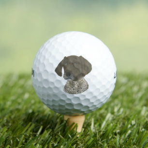 Balles De Golf Pointeur à poils courts germanique blanc et foie