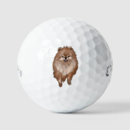 Balles De Golf Pomeranian Dog