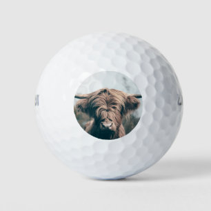 Balles De Golf Portrait de vache Highland