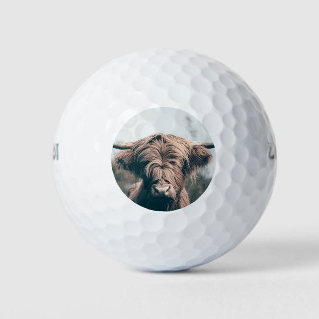 Balles De Golf Portrait de vache Highland (Devant)