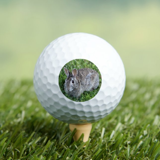 Balles De Golf Poubelle (T-shirt Insitu)