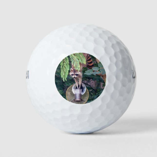 Balles De Golf Raccoon raid l'éleveur d'oiseaux (Devant)