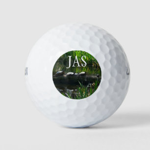 Balles De Golf Rangée de tortues Green Nature Photo