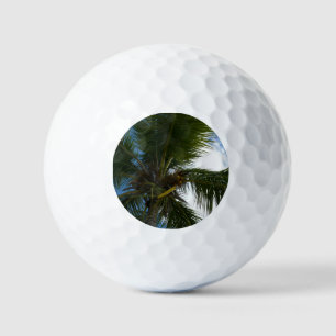 Balles De Golf Regard sur le palmier à coco Nature tropicale