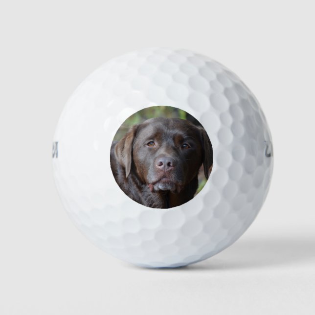 Balles De Golf Rétrificateur Labrador au chocolat adorable (Devant)