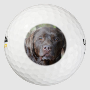 Balles De Golf Rétrificateur Labrador au chocolat adorable
