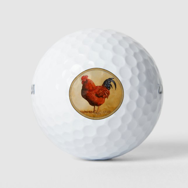 Balles De Golf Rooster chicken de Rhode Island (Devant)