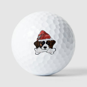 Balles De Golf Saint-Bernard