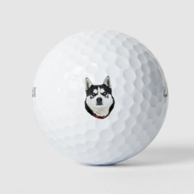 Balles De Golf Sibérien Husky Semble En Colère (Devant)