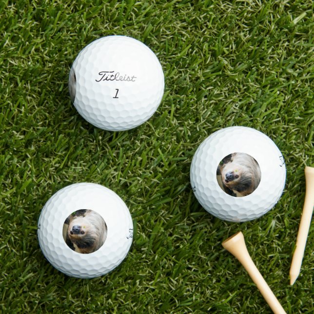 Balles De Golf Sloth 001 (Herbe in situ)