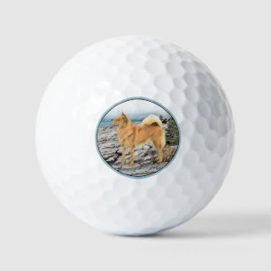 Balles De Golf Spitz finlandais au bord de la mer - Peinture - Ar