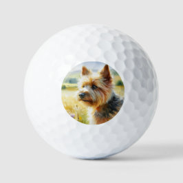Balles De Golf Tervueren de Norwich
