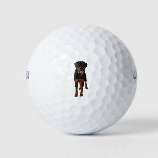 Balles De Golf The Rottweiler