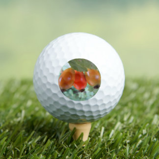 Balles De Golf Three orange rosehips
