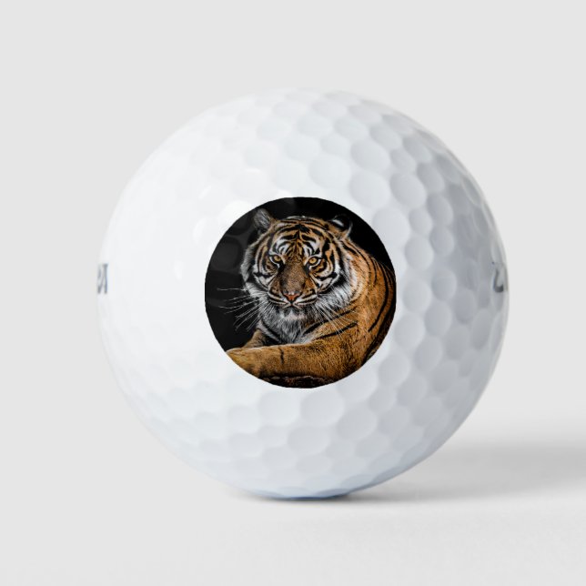 BALLES DE GOLF Tiger (Devant)